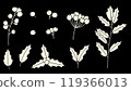 Christmas holly plant set elements.  119366013
