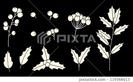Christmas holly plant set elements. Christmas holly plant set elements. 119366013