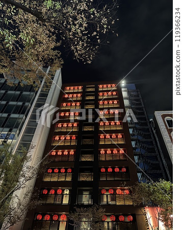 為萬聖節裝飾的建築的夜景 為萬聖節裝飾的建築的夜景 119366234