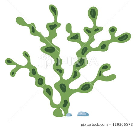 Green kelp cartoon icon. Underwater alga plant Green kelp cartoon icon. Underwater alga plant 119366578