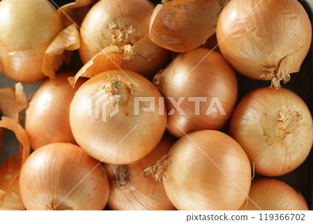 Group photo of lots of fresh onions lined up 119366702