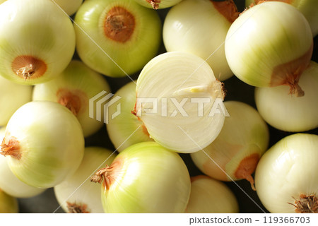 Group photo of lots of fresh onions lined up 119366703