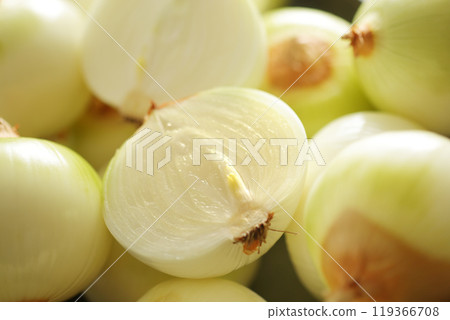 大量新鮮洋蔥排成一排的合影 119366708