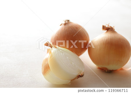 Group photo of lots of fresh onions lined up Group photo of lots of fresh onions lined up 119366711