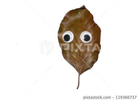 Funny Autumn Leaf Plant With Goggle Eyes on a White Background Funny Autumn Leaf Plant With Goggle Eyes on a White Background 119366737