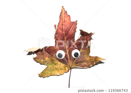 Funny Autumn Leaf Plant With Goggle Eyes on a White Background 119366743