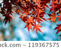 秋天的風景與明亮的秋葉 119367575