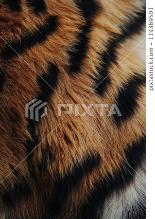 Close up of tiger fur with bold black stripes and fluffy orange texture, in natural detail Close up of tiger fur with bold black stripes and fluffy orange texture, in natural detail 119369501