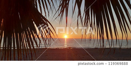 Alanya City Park, Antalya Province. Mediterranean.Sunset view with palm tree branches 119369888
