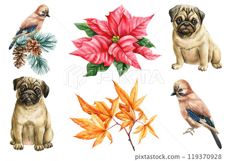 Watercolor holiday clipart with birds, animal and plants isolated. Cute pug dogs. Branch yellow maple leaves, red flower Watercolor holiday clipart with birds, animal and plants isolated. Cute pug dogs. Branch yellow maple leaves, red flower 119370928