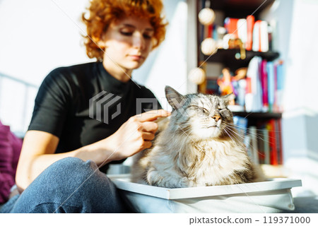 domestic cat grooming domestic cat grooming 119371000