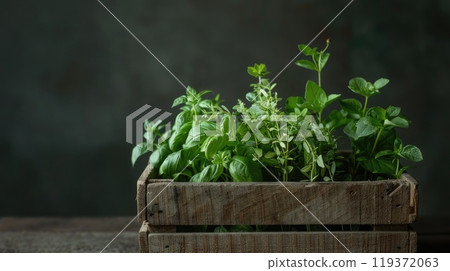 On a wooden table, there is a box filled with vibrant green herbs. AI-generated content. On a wooden table, there is a box filled with vibrant green herbs. AI-generated content. 119372063
