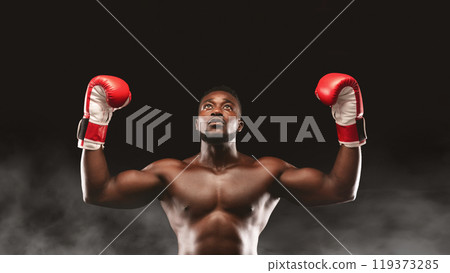 A muscular boxer celebrates a victory with arms raised, wearing red boxing gloves against a dark smoky background. 119373285