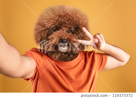 A lively dog with fluffy fur is playfully posing for a selfie while wearing an orange shirt. The cheerful atmosphere is enhanced by the vibrant yellow backdrop, creating a fun and lighthearted moment. 119373372