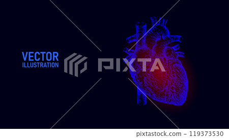 Human healthy heart 3d line art. Ink sketch medicine model. Pulse internal body modern innovative technology vector illustration Human healthy heart 3d line art. Ink sketch medicine model. Pulse internal body modern innovative technology vector illustration 119373530