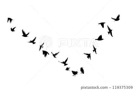 Flying birds silhouette flock. hand drawing. Not AI. Vector illustration 119375309