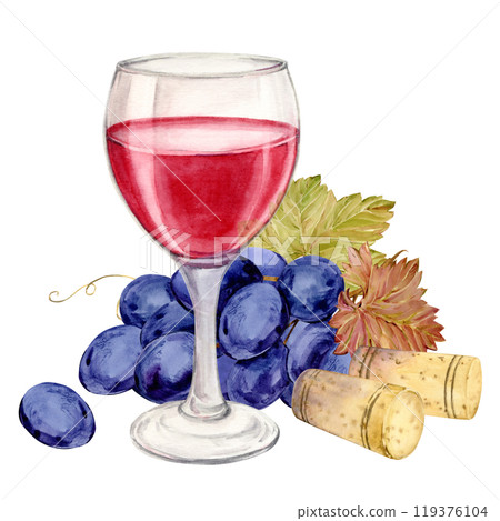Glass of red wine, wine corks and blue grapes. Illustration of a bunch of grapes with purple berries and leaves lying on a table. Clipart for wine labels, winery, cafe, restaurant. Glass of red wine, wine corks and blue grapes. Illustration of a bunch of grapes with purple berries and leaves lying on a table. Clipart for wine labels, winery, cafe, restaurant. 119376104