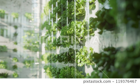 A vertical hydroponic farm growing leafy greens is shown in detail. Water is flowing down through the stacked plants, providing nutrients. 119376467