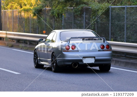 Domestic sports car 119377209