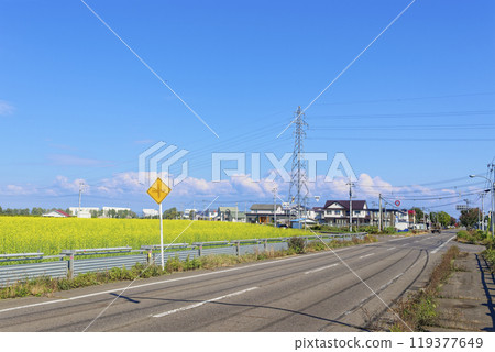 路邊的油菜田 119377649