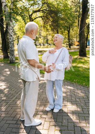 Full length vertical shot of cheerful elderly couple enjoying sunny day outdoors, talking and gesturing while taking walk together in tree-lined park, embodying love and happiness in retirement. Full length vertical shot of cheerful elderly couple enjoying sunny day outdoors, talking and gesturing while taking walk together in tree-lined park, embodying love and happiness in retirement. 119377937