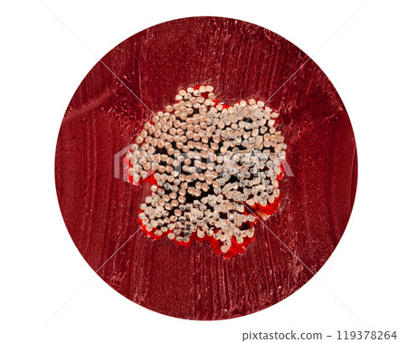 Cross Section of Red Electrical Cable with Copper Wires 119378264