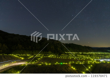 Thousand-year sparkle of Tazomeso (Bungotakada City, Oita Prefecture) 119378471