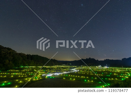 Thousand-year sparkle of Tazomeso (Bungotakada City, Oita Prefecture) 119378477