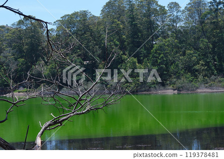 A stunning view of Telaga Warna, a colorful lake in Dieng Plateau, Indonesia. A stunning view of Telaga Warna, a colorful lake in Dieng Plateau, Indonesia. 119378481