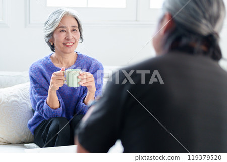Grey-haired women having a conversation in the living room Grey-haired women having a conversation in the living room 119379520