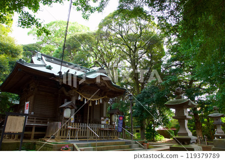 鶴峰八幡宮 鶴峰八幡宮 119379789