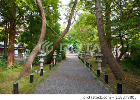 鶴峰八幡宮 鶴峰八幡宮 119379803