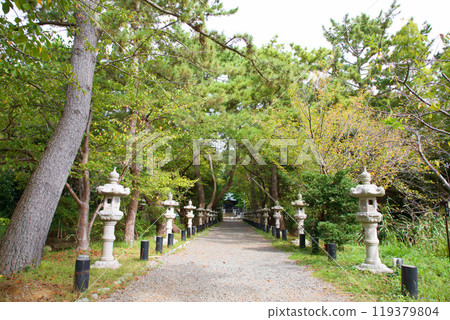 鶴峰八幡宮 鶴峰八幡宮 119379804