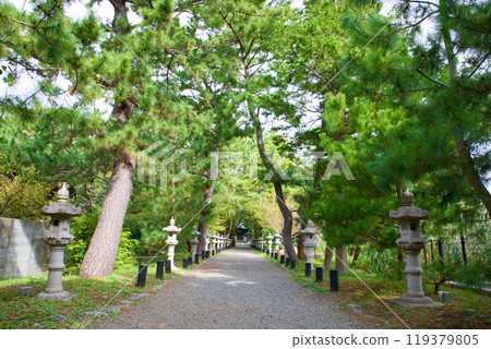 鶴峰八幡宮 鶴峰八幡宮 119379805