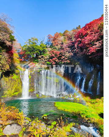 Shiraito Falls (Autumn) [Fujinomiya City] 119380444