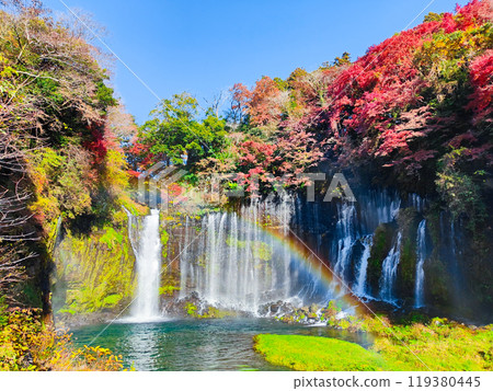 Shiraito Falls (Autumn) [Fujinomiya City] 119380445