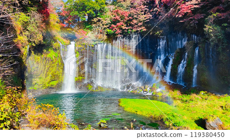 Shiraito Falls (Autumn) [Fujinomiya City] 119380450