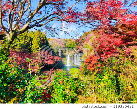 Shiraito Falls (Autumn) [Fujinomiya City] 119380451