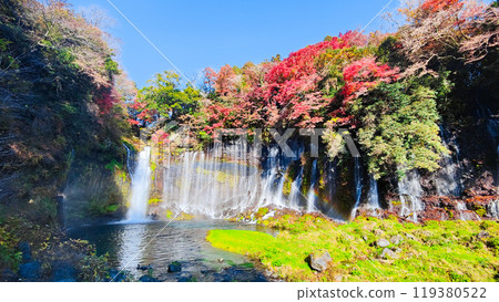 Shiraito Falls (Autumn) [Fujinomiya City] 119380522