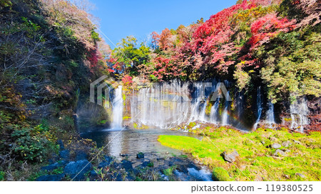 Shiraito Falls (Autumn) [Fujinomiya City] 119380525