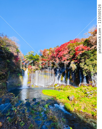 白絲瀑布（秋季）[富士宮市] 119380526