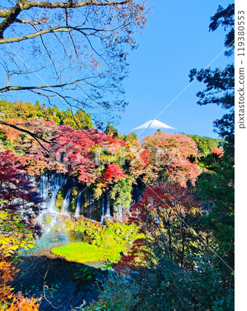 Shiraito Falls and Mt. Fuji (Autumn) Shiraito Falls and Mt. Fuji (Autumn) 119380553