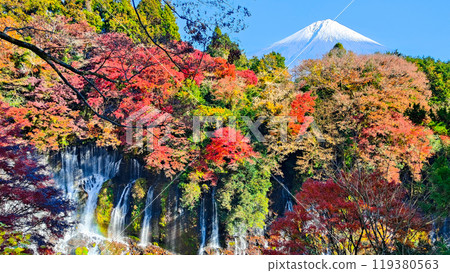 Shiraito Falls and Mt. Fuji (Autumn) Shiraito Falls and Mt. Fuji (Autumn) 119380563