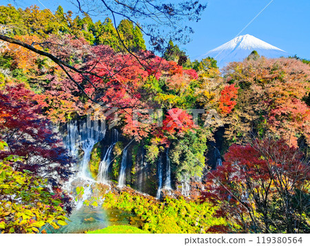 Shiraito Falls and Mt. Fuji (Autumn) Shiraito Falls and Mt. Fuji (Autumn) 119380564