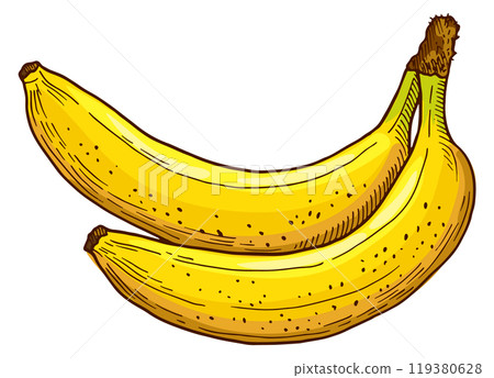 Yellow bananas pair. Organic fresh vitamin sketch Yellow bananas pair. Organic fresh vitamin sketch 119380628