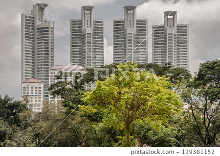 The large trees in city park with Millennium Residence buildings background. 119381152