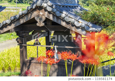 Miroku stone and red spider lilies in Asuka Village, Nara Prefecture 119381174