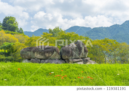 Ishibutai Tomb and red spider lilies shining against the clear blue autumn sky 119381191