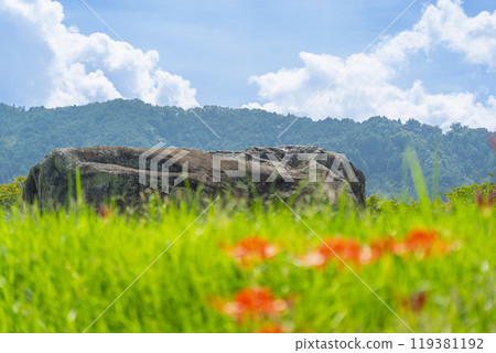 陽光明媚的秋日，石舞台古墳和蜘蛛百合在藍天上綻放 119381192