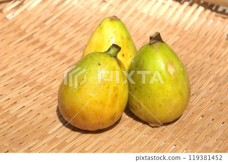 Fig flower fruits Fig flower fruits 119381452